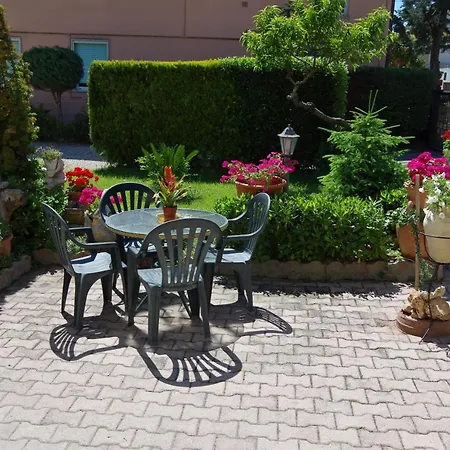 Service Attic * Scerne