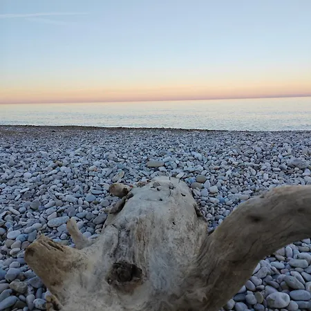 Apartament Service Attic Scerne