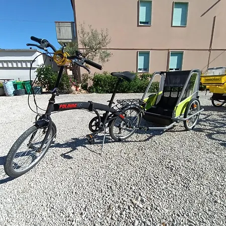 Service Attic * Scerne