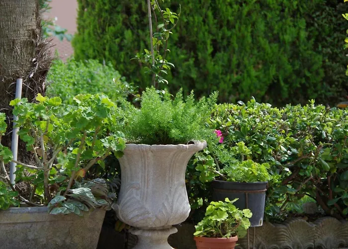 Service Attic * Scerne