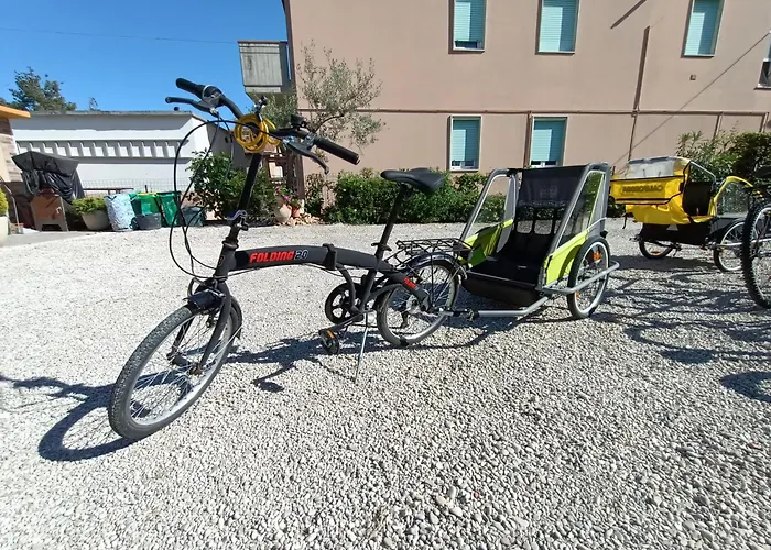 Service Attic * Scerne